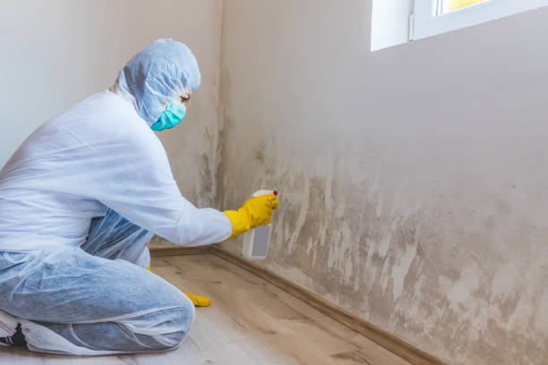 Bathroom Mold Removal assessment in Newaygo bathroom