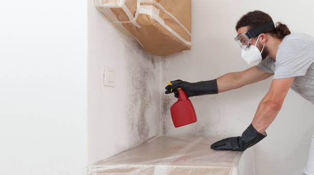 Attic Mold Remediation treatment on roof deck in Newaygo