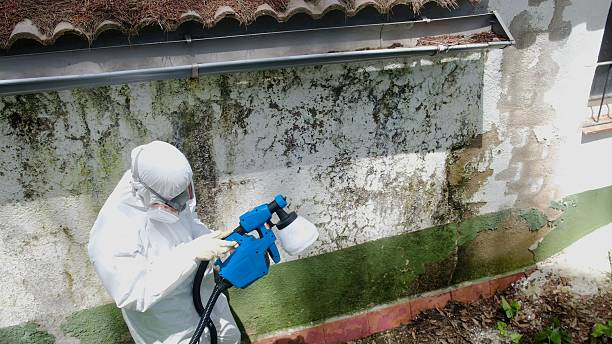 Mold Remediation service in Newaygo, Newaygo, MI